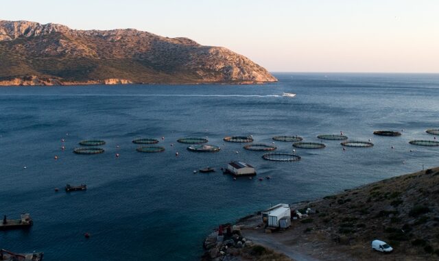 Η ΑΒ Βασιλόπουλος καινοτομεί με περιβαλλοντικό πρόσημο