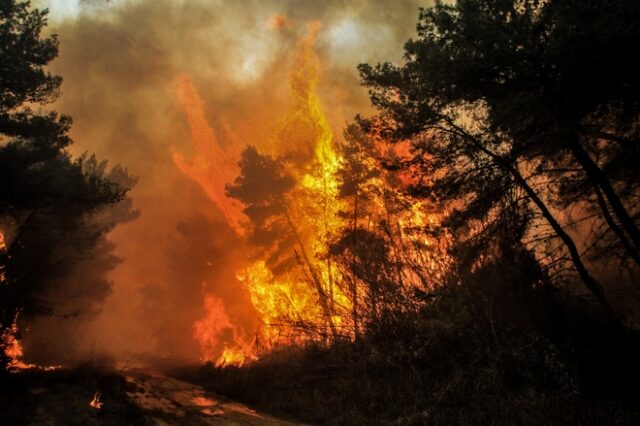 Μεγάλη φωτιά στην Κάρυστο – Ολονύχτια μάχη με τις φλόγες