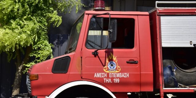 Φωτιά στον Κιθαιρώνα: Παραμένουν διάσπαρτες εστίες – Οι ισχυροί άνεμοι δυσχεραίνουν την κατάσβεση