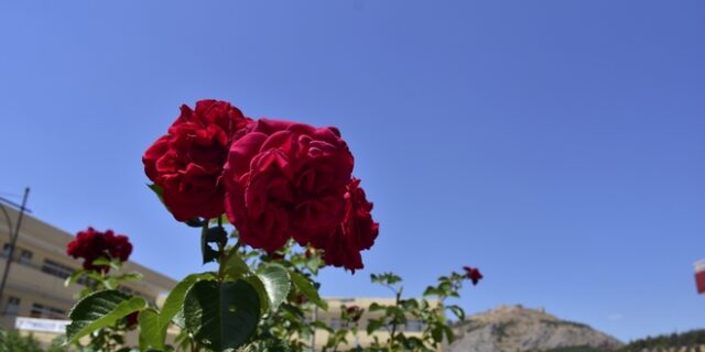 Καιρός: Περιορίζεται η αστάθεια – Ανεβαίνει από την Πέμπτη η θερμοκρασία