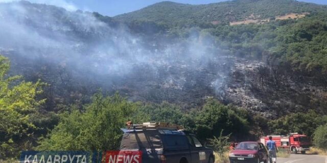 Καλάβρυτα: Φωτιά σε εξέλιξη στην περιοχή του Πεύκου