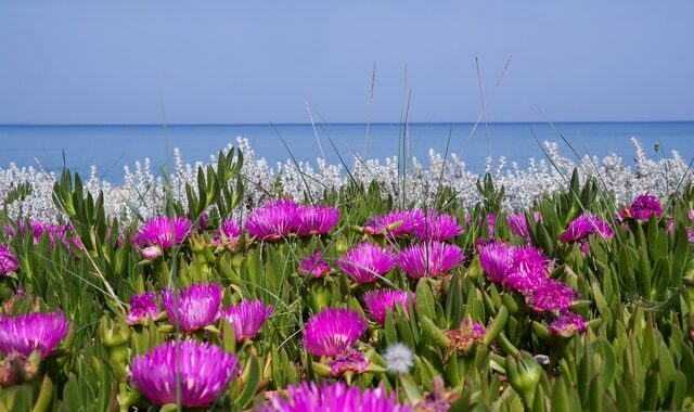 Καιρός: 35άρια και ζέστη το Σαββατοκύριακο