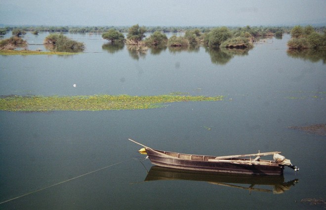 Παραπομπή της Ελλάδας στο Δικαστήριο της ΕΕ για μη ικανοποιητική προστασία της βιοποικιλότητας