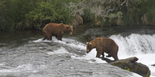 Καύσωνας στις ΗΠΑ: Δασικές πυρκαγιές και λιώσιμο παγετώνων στην Αλάσκα