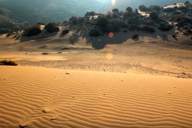 Αμμοθίνες: Το εντυπωσιακό θέαμα με τους χρυσαφένιους λόφους της Λήμνου