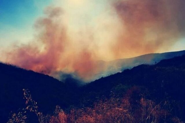 Σε ύφεση η μεγάλη φωτιά στην Αργολίδα