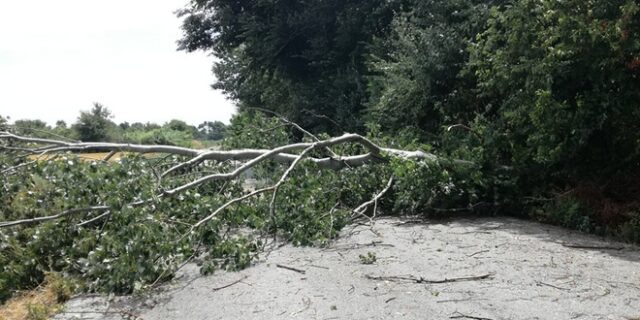 Λάρισα: Χαλάζι και δυνατοί άνεμοι έπληξαν την περιοχή του Τυρνάβου