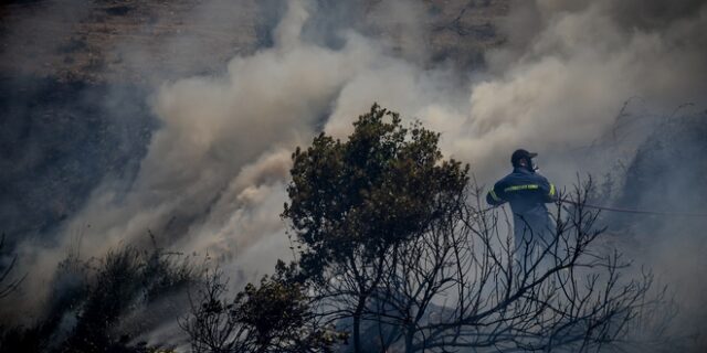 Φωτιά στην Εύβοια: Καλύτερη η εικόνα – Διάσπαρτες μικροεστίες
