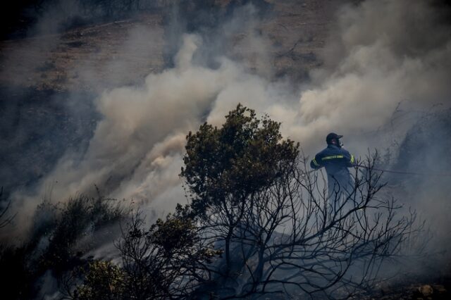 Μάχη με τις φλόγες στην Εύβοια-Έξω από το χωριό του Γαβαλά η φωτιά