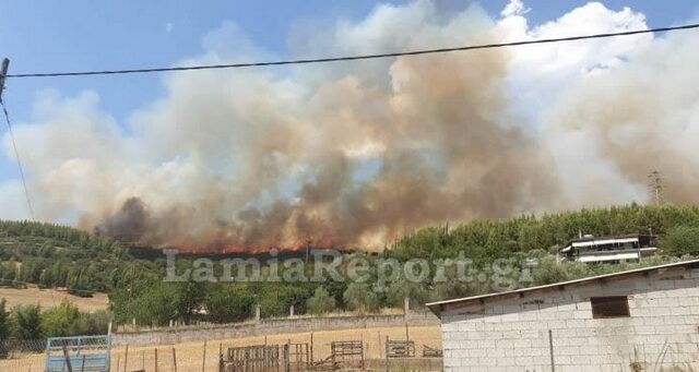 Φωτιά στη Φθιώτιδα: Το πύρινο μέτωπο μαίνεται μεταξύ της περιοχής Καστρί και Γραμμένη