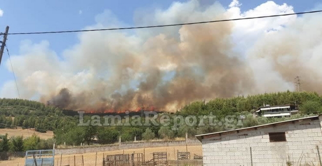 Φωτιά στη Φθιώτιδα: Το πύρινο μέτωπο μαίνεται μεταξύ της περιοχής Καστρί και Γραμμένη