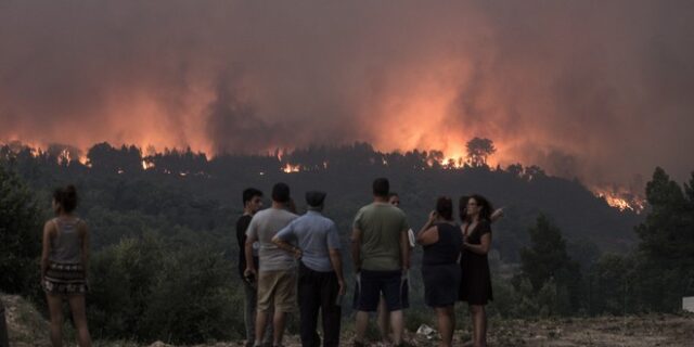 Καμπανάκι από την WWF: Οι “γιγαντιαίες φωτιές” απειλούν την Ευρώπη