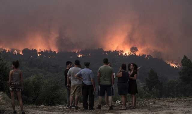 Καμπανάκι από την WWF: Οι “γιγαντιαίες φωτιές” απειλούν την Ευρώπη