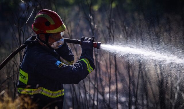 Ηράκλειο: Υπό πλήρη έλεγχο η φωτιά στην Τύλισο