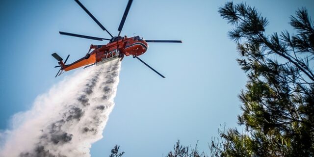 Φωτιά σε δασική έκταση στο Μαρτίνο Φθιώτιδας