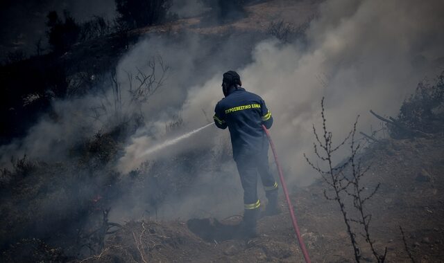 Φωτιά στην Κεντρική Εύβοια – Μαίνονται τα μέτωπα σε Κεφαλονιά, Ασπρόπυργο και Μαραθώνα