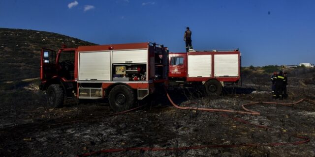 Φωτιά στην Ηλεία κατακαίει χορτολιβαδική έκταση