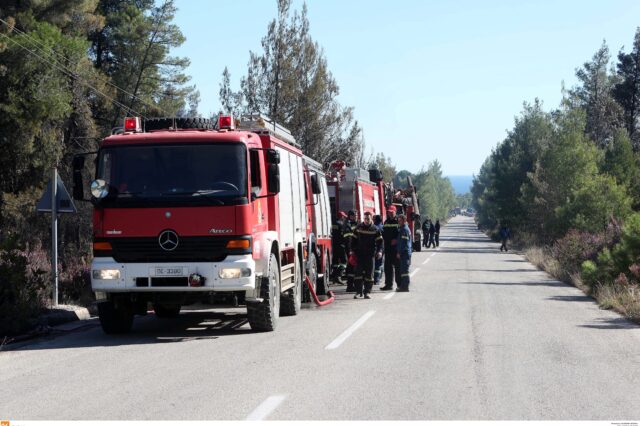 Φωτιά στην Κάρυστο σε δασική έκταση