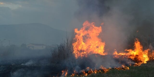 Φωτιές σε εξέλιξη σε Μεσσηνία και Άρτα