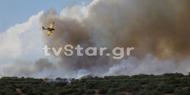 Σε εξέλιξη φωτιές στην Φθιώτιδα: Στην Δίβρη οι κάτοικοι συγκεντρώθηκαν στην πλατεία για την ασφάλειά τους