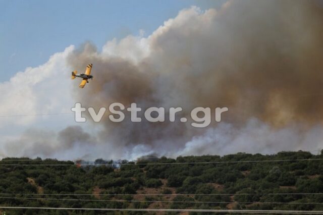 Σε εξέλιξη φωτιές στην Φθιώτιδα: Στην Δίβρη οι κάτοικοι συγκεντρώθηκαν στην πλατεία για την ασφάλειά τους