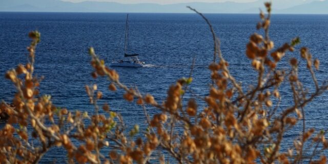 Καιρός: Άνοδος της θερμοκρασίας και άνεμοι έως 6 μποφόρ – Αστάθεια στα ηπειρωτικά
