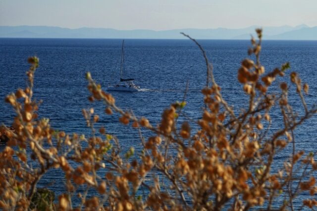 Καιρός: Άνοδος της θερμοκρασίας και άνεμοι έως 6 μποφόρ – Αστάθεια στα ηπειρωτικά