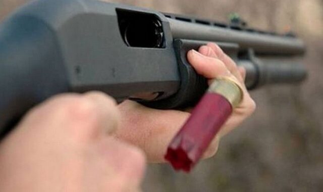Φθιώτιδα: Σκότωσε αδέσποτο σκύλο και παραδόθηκε στις αρχές