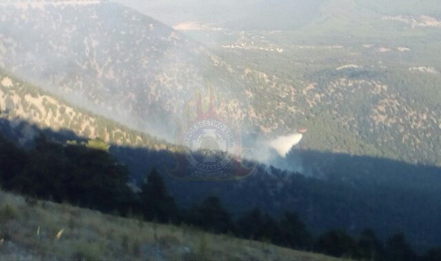 Σε ύφεση η μεγάλη φωτιά στον Κιθαιρώνα