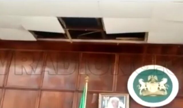 Πανικός σε Βουλή της Νιγηρίας: Φίδι έπεσε από το ταβάνι στην αίθουσα της ολομέλειας
