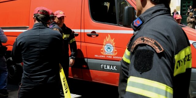 Φωτιά σε δασική έκταση στην Μεγαλόπολη