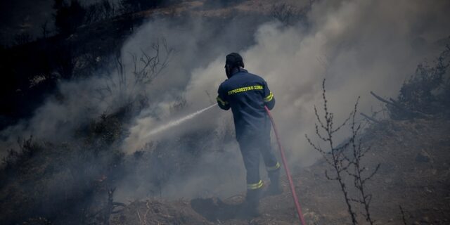 Φωτιές στην Αγία Τριάδα Μεγάρων και στο Μαρκόπουλο – Μεγάλη κινητοποίηση της Πυροσβεστικής