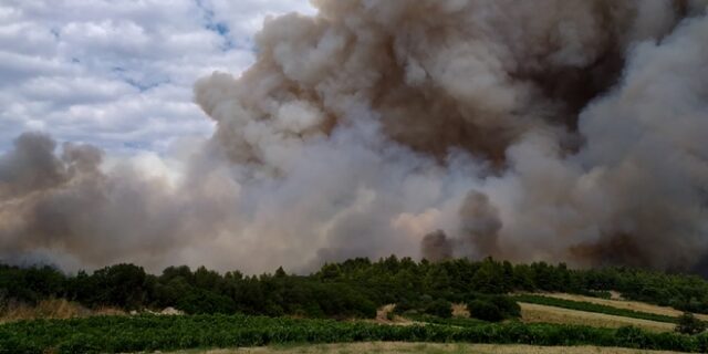 Φωτιά στην Τανάγρα: Απομακρύνθηκαν προληπτικά 2 άτομα από μοναστήρι – Ενισχύονται οι δυνάμεις
