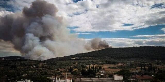 Φωτιά στην Τανάγρα: Καλύτερη η κατάσταση – Ισχυρές δυνάμεις στο σημείο για το βράδυ