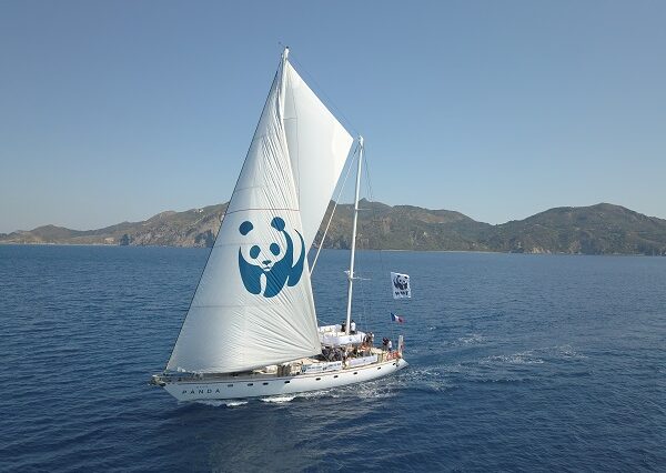 WWF: Το “Blue Panda” ταξιδεύει στο Ιόνιο – Οι κίνδυνοι των εξορύξεων και η προστασία των θαλάσσιων ειδών