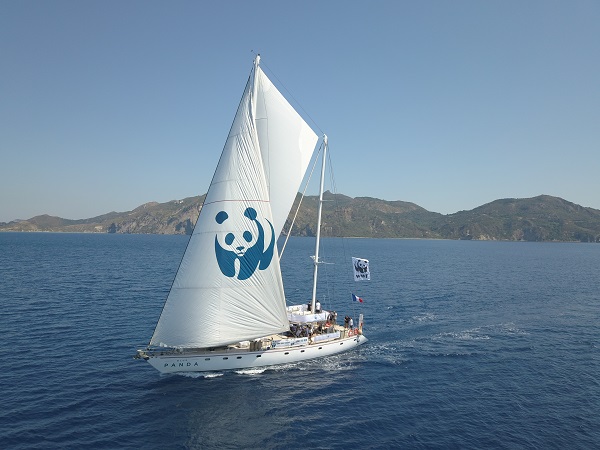 WWF: Το “Blue Panda” ταξιδεύει στο Ιόνιο – Οι κίνδυνοι των εξορύξεων και η προστασία των θαλάσσιων ειδών