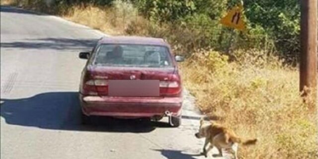 Κρήτη: Συνέλαβαν τον οδηγό που είχε δέσει στο αυτοκίνητό του σκύλο
