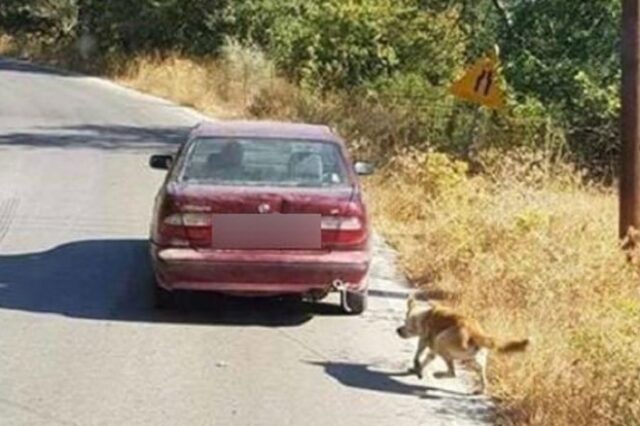 Κρήτη: Συνέλαβαν τον οδηγό που είχε δέσει στο αυτοκίνητό του σκύλο