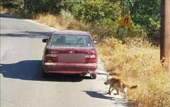 Κρήτη: Συνέλαβαν τον οδηγό που είχε δέσει στο αυτοκίνητό του σκύλο
