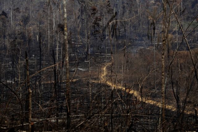 Οι πυρκαγιές εξακολουθούν να κατακαίουν τον Αμαζόνιο και το Παντανάλ
