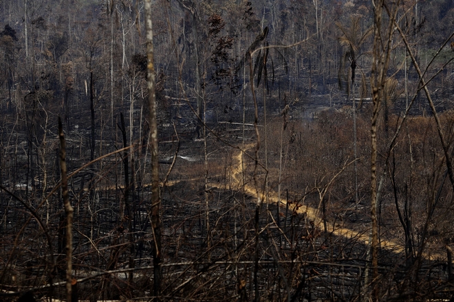 Οι πυρκαγιές εξακολουθούν να κατακαίουν τον Αμαζόνιο και το Παντανάλ