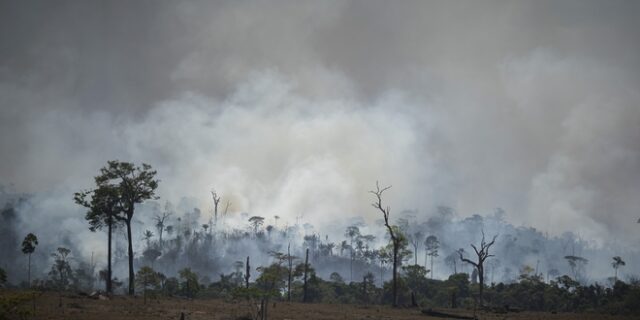 Συγγνώμη από τους Γάλλους ζήτησε ο Πάουλο Κοέλιο για την “υστερία” Μπολσονάρου