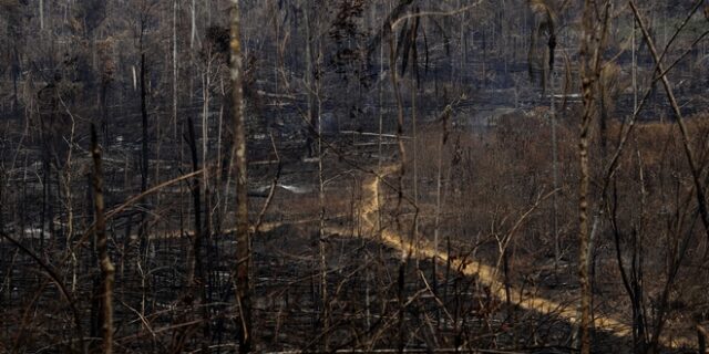 Αμαζόνιος: Η G7 δίνει 20 εκατ. δολάρια για την κατάσβεση