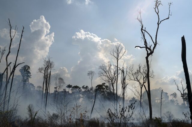 Αμαζόνιος: Γιατί μάθαμε τώρα για τις φωτιές παρότι καίγεται εδώ και τρεις εβδομάδες