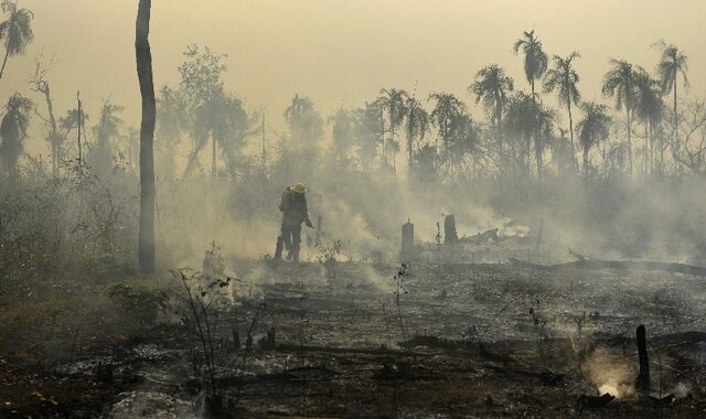Ο Αμαζόνιος φλέγεται: Σε κίνδυνο ο “πνεύμονας” του πλανήτη