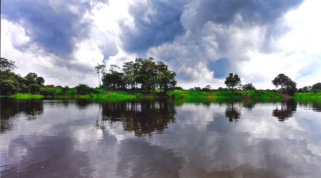 Αμαζόνιος: Γιατί η καταστροφή του μας επηρεάζει όλους