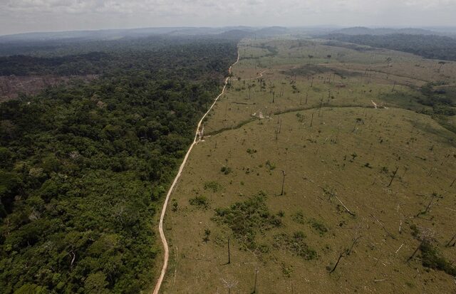 O Αμαζόνιος κινδυνεύει από την αποψίλωση: Η Γερμανία ακυρώνει χρηματοδότηση 35 εκ. ευρώ