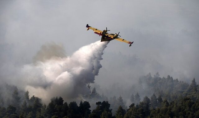 Φωτιά στην Εύβοια: Αγώνας να ελεγχθούν οι αναζωπυρώσεις – Μέτωπο χιλιομέτρων κοντά στην Πλατάνα