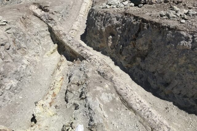 Μυτιλήνη: Δυο γιγάντιοι κορμοί απολιθωμένων κωνοφόρων δένδρων αποκαλύφθηκαν κατά τη διάρκεια ανασκαφών