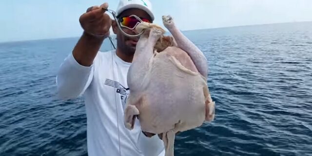 Δόλωσαν ολόκληρη γαλοπούλα και την έριξαν στη θάλασσα – Δεν θα πιστέψετε τι έπιασαν